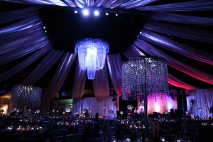 2011 Limestone Learning Fundraiser at KRock Arena c 