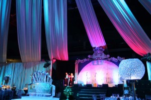 2011 Limestone Learning Fundraiser at KRock Arena d 