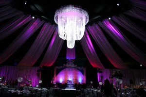 2011 Limestone Learning Fundraiser at KRock Arena m 