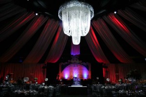 2011 Limestone Learning Fundraiser at KRock Arena n 