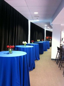 2013 Scotties Tournament of Hearts at KRock Arena b   
