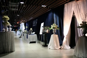 2015 Limestone Learning Foundation Gala at KRock Arena b