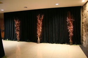 2015 UHKF Gala Fundraiser at Ban Righ Hall h     