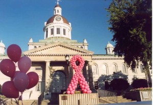 2004 Run for the Cure at Confederation Basin        