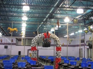 2010 Community Spirit Bingo 14th Anniversary b         