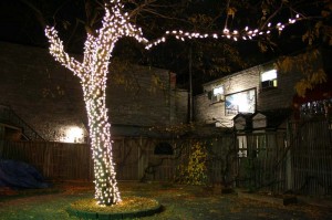 2010 Winter Lights at Chez Piggy Patio a                    
