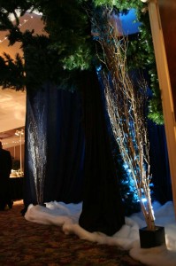 2011 Novelis Holiday Party at Ambassador Conference Resort i          