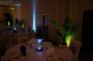 2011 Ladies' Night at Four Points by Sheraton b