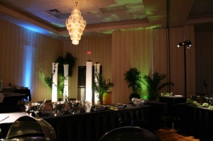 2011 Ladies' Night at Four Points by Sheraton d