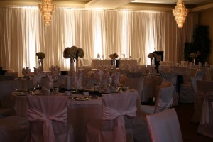2011 Hager Wedding at Four Points by Sheraton (1)