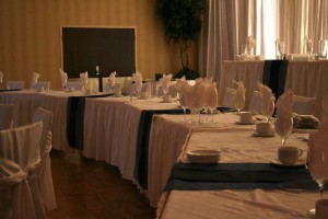 2011 Hager Wedding at Four Points by Sheraton b
