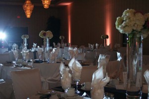 2011 Hager Wedding at Four Points by Sheraton d