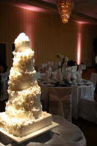 2011 Hager Wedding at Four Points by Sheraton e 