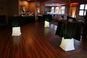 2011 Myers Wedding at Four Points by Sheraton a