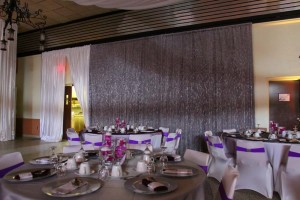 2014 Costa Wedding at Portuguese Hall g