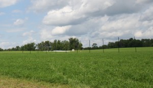 2015 A Cuthill Wedding at Private d