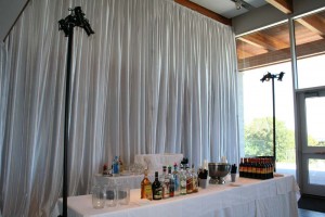 2013 Fair Wedding at Discovery Centre d