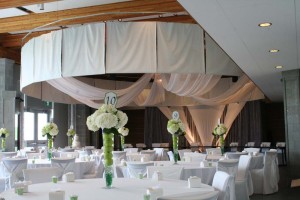 2014 McDonald Wedding at DIscovery Centre c