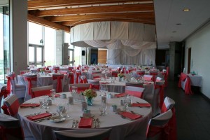 2014 Rice Wedding at Discovery Centre a