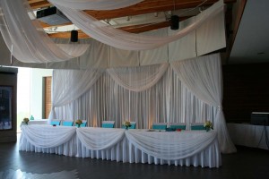 2014 Rice Wedding at Discovery Centre b