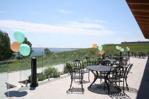 2014 Yan Wedding at Discovery Centre a