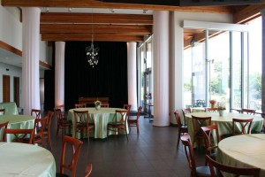 2014 Yan Wedding at Discovery Centre b