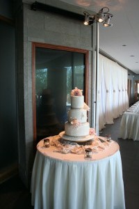 2016 Eves Wedding at Discovery Centre b