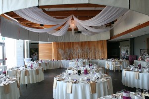 2016 Hagerman Wedding at Discovery Centre b